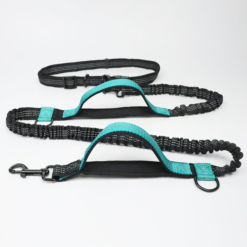 Reflective Pull Dog Leash