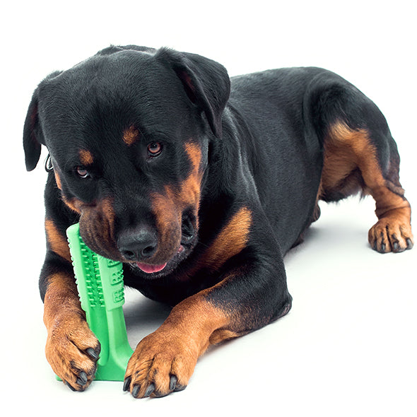 Silicone Pet Toothbrush