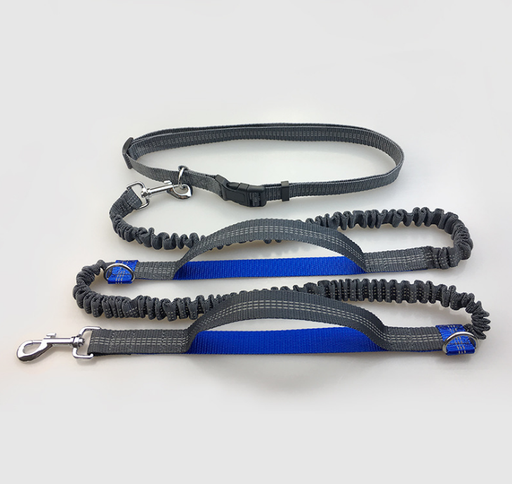 Reflective Pull Dog Leash