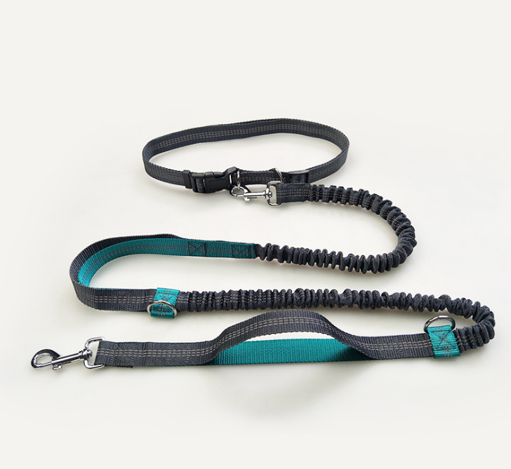 Reflective Pull Dog Leash