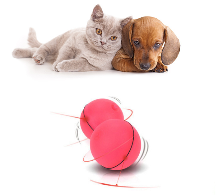 Pet Fun Toy Ball