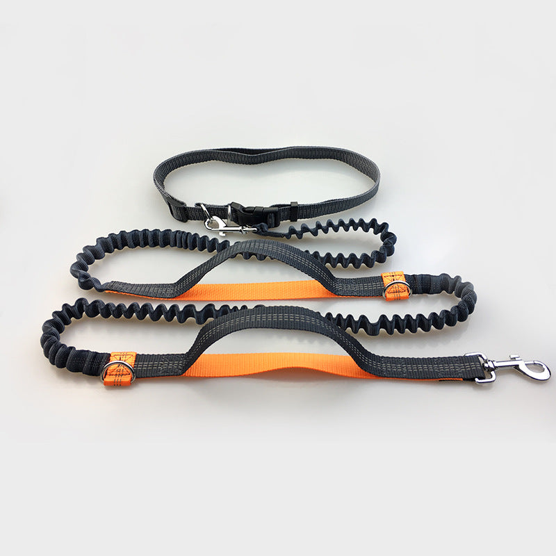 Reflective Pull Dog Leash