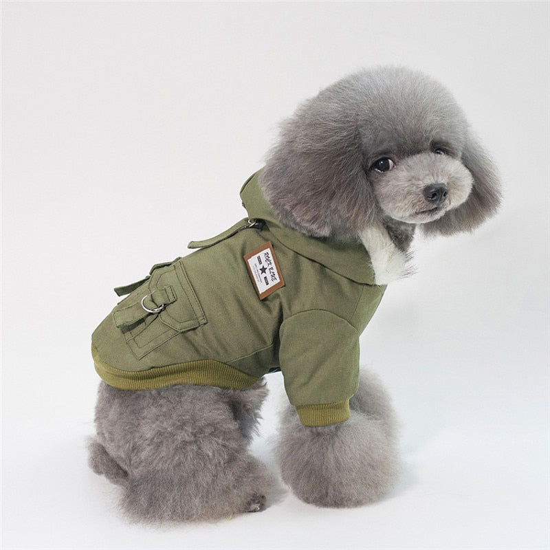 Pet Coat