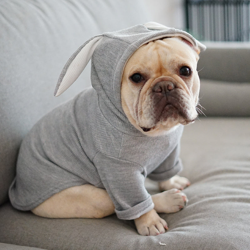 Dog Hoodie