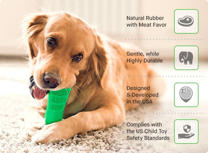 Silicone Pet Toothbrush