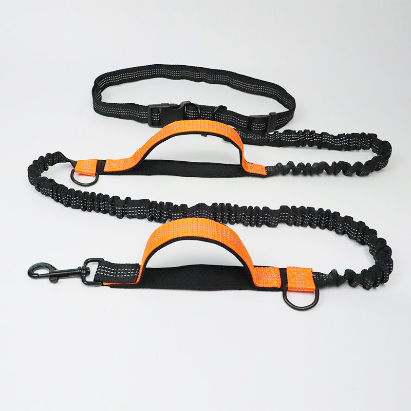 Reflective Pull Dog Leash