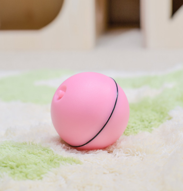 Pet Fun Toy Ball