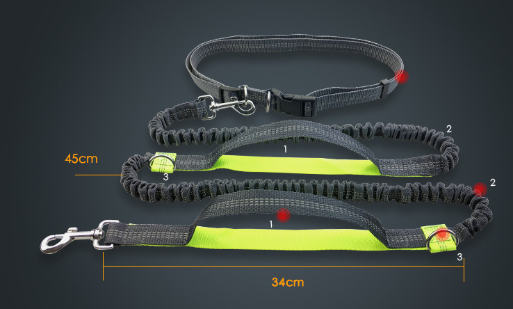 Reflective Pull Dog Leash