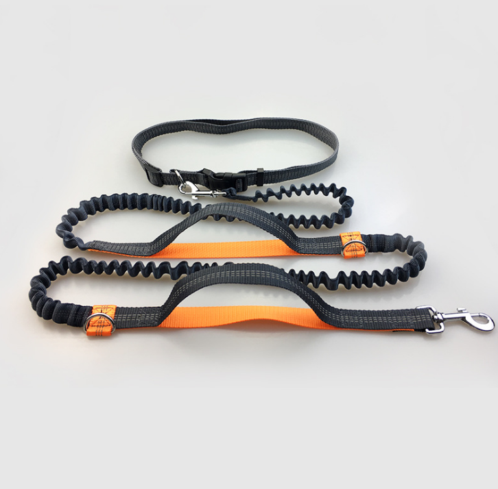 Reflective Pull Dog Leash