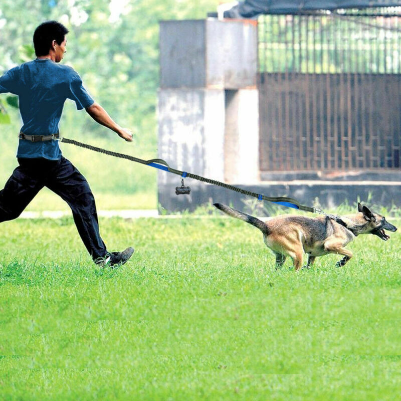 Reflective Pull Dog Leash