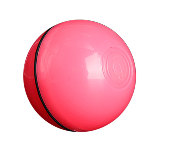 Pet Fun Toy Ball