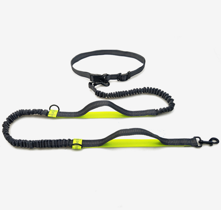 Reflective Pull Dog Leash