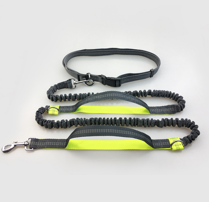 Reflective Pull Dog Leash