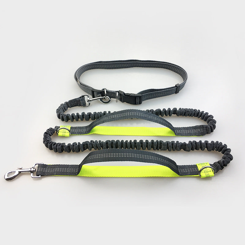 Reflective Pull Dog Leash