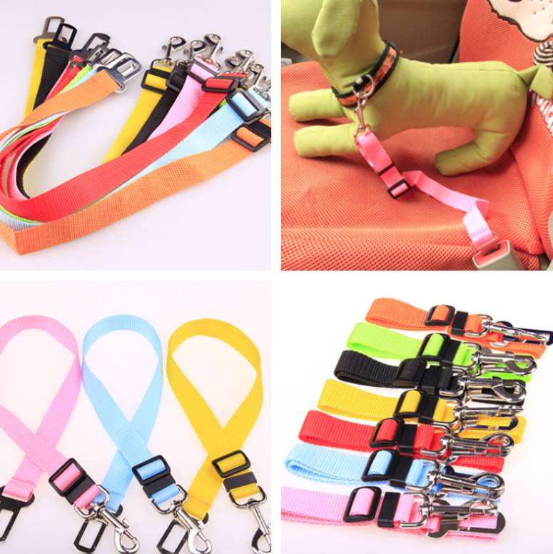 Fixed Strap Polyester Dog Strap