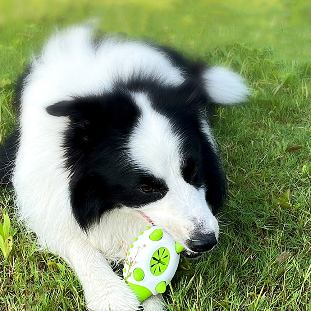 Pet Dog Toy Interactive TPR