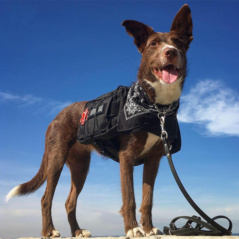 Outdoor Travel Bag For Walking Dogs